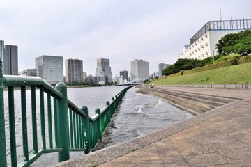 越中島公園遊歩道 永代橋方面