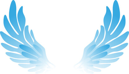 Vector pair of sky colored wings isolated on white background. Angel wings isolated object