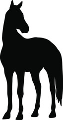 Fototapeta na wymiar Icon of horse silhouette. Black vector illustration of mustang stallion 