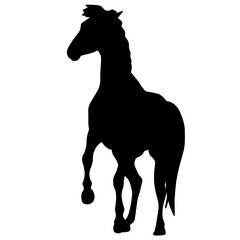 Obraz premium Icon of horse silhouette. Black illustration of mustang stallion 