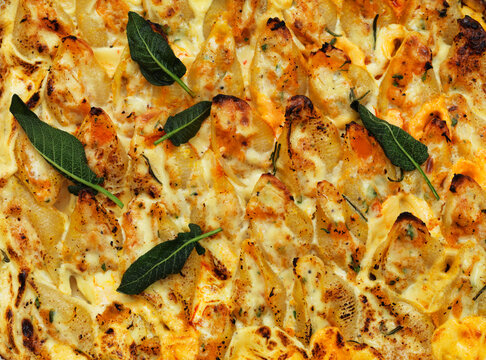 Baked conchiglie stuffed with butternut squash