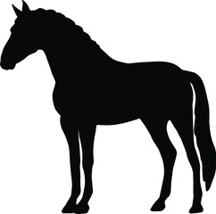 Icon of horse silhouette. Black vector illustration of mustang stallion	

