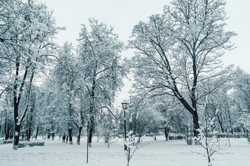 View of the winter Park in snowy weather. Snow-covered trees lanterns and paths. Seasonal changes in nature