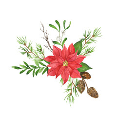 Red poinsettia flower, green leaves, pine branches and cones and dry branches bouquet. Christmas decoration. Hand drawn watercolor illustration.