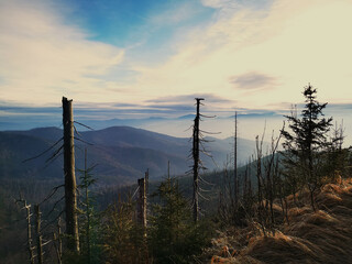 Mountain landscape of the Silesian Beskids.