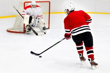 Hockey Players Computing During a Game