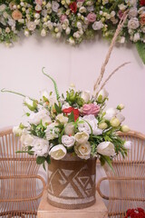 beautiful colorful flower in pot with blur background