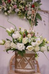 beautiful colorful flower in pot with blur background