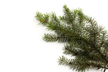Pine branches isolated on white background, seamless pattern. Christmas and New Year background.