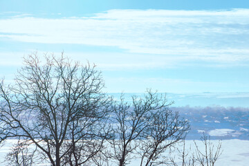 Winter scenery with tree branches and snowy landscape