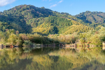 秋の麻機遊水地　紅葉のリフレクション　静岡市