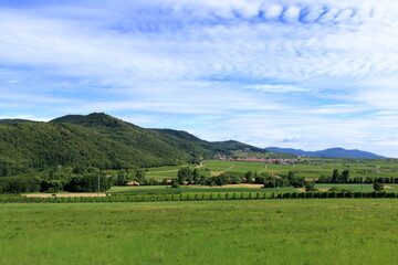 View from the vineyards to Klingenmuenster on the german wine route in the palatinate