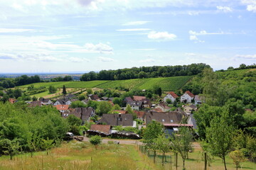 View from the vineyards to Pleisweiler on the german wine route in the palatinate