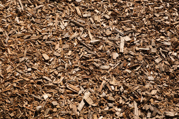 Fresh sawdust from a tree. Close up of a pile of wood chips. Wood shavings, processing. Sawdust wood background from carpentry. 