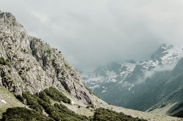 Valle Gesso, Cuneo (Italia). Uno scorcio della valle nei primi giorni d'estate