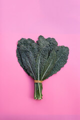 Fresh organic green kale leaves on pink background.
