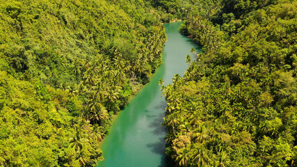 Aerial drone of Tropical Loboc river in the rainforest. Mountain river flows through green forest. Bohol, Philippines.
