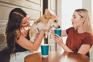 Two beautiful girls spend time in a cafe with a dog corgi breed