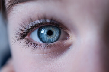 Obraz premium Blue eye 