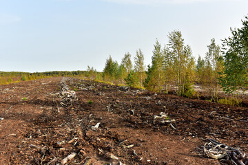 Landscape on peatlands where being development of the peat. Drainage of peat bogs at extraction site. Drilling on bog for oil exploration. Wetlands declining and under threat.