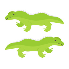Green lizard Vector color Icon Design, Mexican culture symbol on White background, Customs And Traditions Signs, Mexican alligator concept,