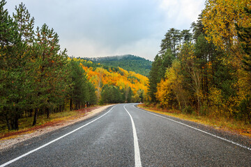 Fototapeta premium autumn in the mountains