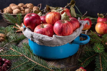 Christmas still life with apples, apruce branches, nuts and dried rose hips