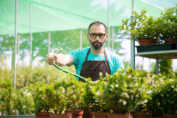 Front view of man watering pot plants from hose. Concentrated middle-aged gardener in apron and eyeglasses working in greenhouse and growing flowers. Commercial gardening activity and summer concept