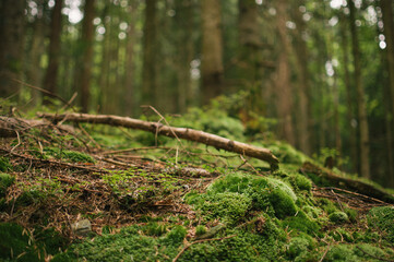 Hiking in Dachstein mountains (Dachsteingebirge)