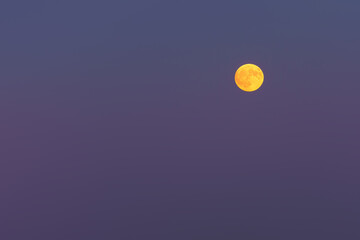 yellow full moon on purple sky at twilight