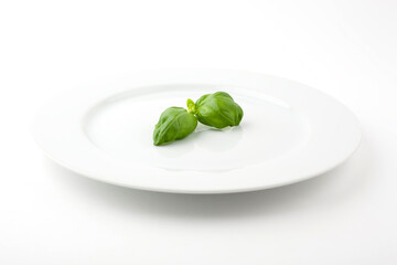 Two basil leafs on a white plate. Studio photo isolated on white background.