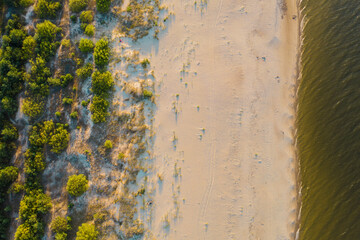 Looking down at the beach. Drone aerial view. Baltic sea