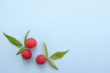 Ripe raspberries with green leaf on blue background. top view