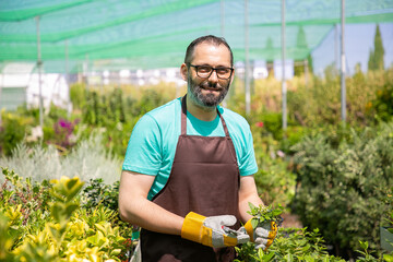 Positive male florist standing among rows with potted plants in greenhouse, cutting bush, holding sprouts, looking at camera and smiling. Gardening job concept