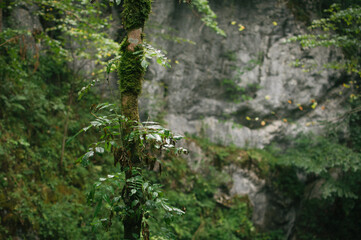 Hiking in Dachstein mountains (Dachsteingebirge)