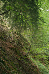Hiking in Dachstein mountains (Dachsteingebirge)