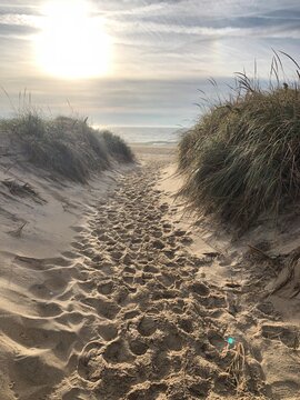 sand dunes in the morning sunrise