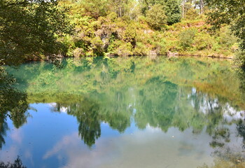 Obraz premium Lake with water reflections in a forest. Galicia, Spain.