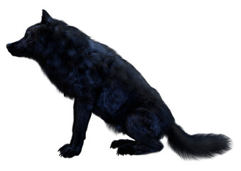 3D Rendering Black Wolf on White
