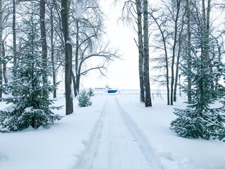 A path with trees on the edge of a snow-covered forest with a view of a boat in the ice