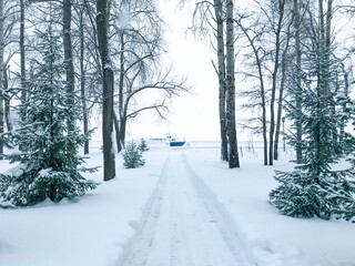 Obraz premium A path with trees on the edge of a snow-covered forest with a view of a boat in the ice