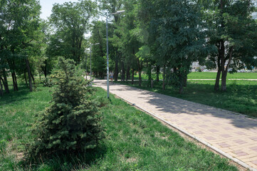 City park