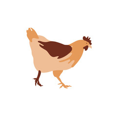 The silhouette of a chicken consists of multi-colored segments. Agriculture.