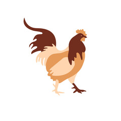 The silhouette of a chicken consists of multi-colored segments. Agriculture.