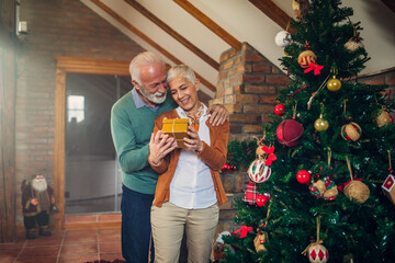 Spreading the Christmas fever