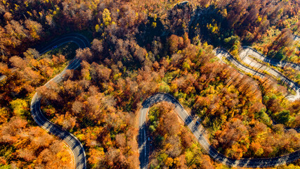 Aerial view of curvy road in beautiful autumn forest at sunset. Top view of roadway with autumn colors. Europe roads and transportation concept