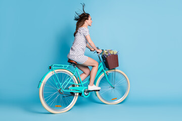 Full length profile photo of girl ride bike basket wildflowers wear dotted mini dress footwear isolated blue color background