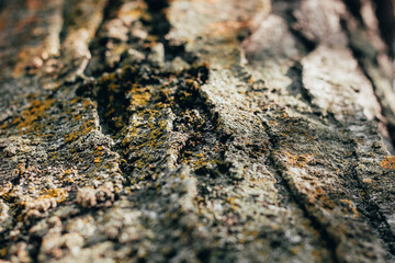 Textures. Things we usually don't notice.
