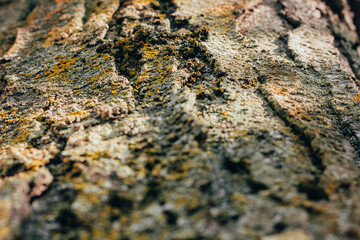 Textures. Things we usually don't notice.