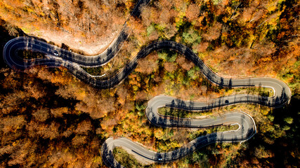 Obraz na płótnie Canvas drone view of winding forest road in the mountains. Colourful landscape with rural road, trees with yellow and green leaves.
